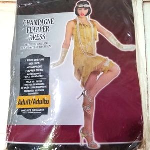 Costume 20's Flapper Dress